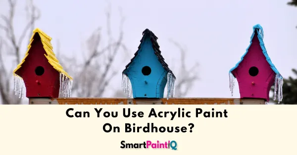 Can You Use Acrylic Paint On Birdhouses?