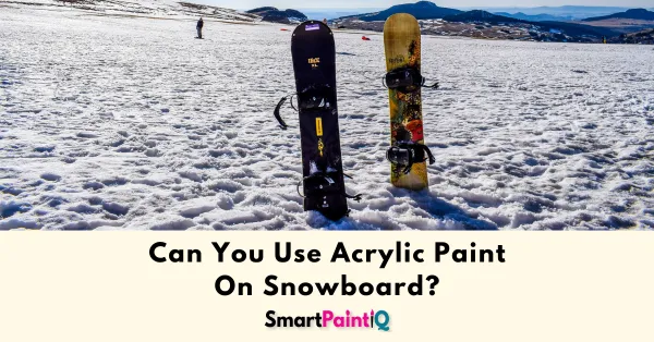 Can You Use Acrylic Paint On A Snowboard?